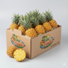 Ananas Victoria - PEI fruit export